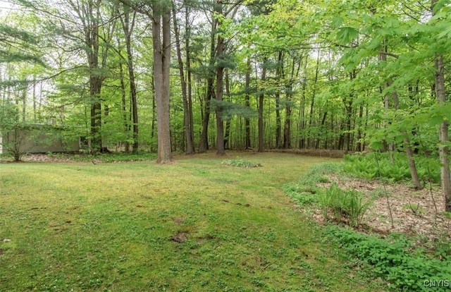 115 Stafford Dr, Rutland, NY 13612 - view of grassy yard with a wooded view