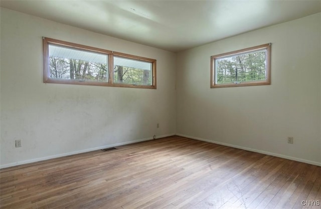 115 Stafford Dr, Rutland, NY 13612 - spare room featuring plenty of natural light, wood finished floors, and baseboards
