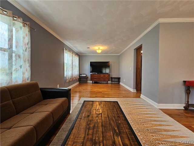 5813 Grace Rd, Deerfield, NY 13502 - living room featuring wood finished floors, baseboards, and ornamental molding