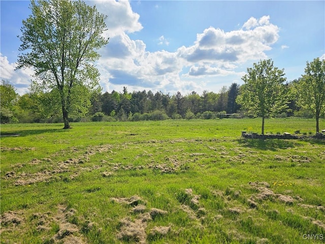 5813 Grace Rd, Deerfield, NY 13502 - view of yard featuring a rural view and a wooded view