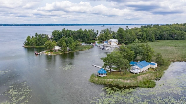 1 Haloah, Hammond, NY 13646 - aerial view of a nearby body of water