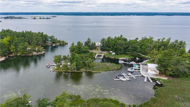 1 Haloah, Hammond, NY 13646 - drone / aerial view of a large body of water