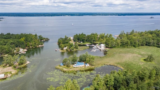1 Haloah, Hammond, NY 13646 - aerial view of a nearby body of water