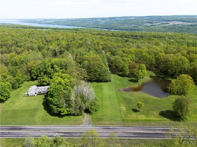 aerial view of a forest and a large body of water