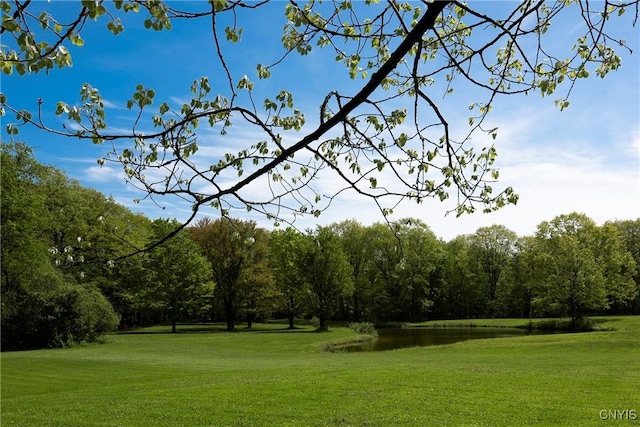 view of home's community featuring a water view and a lawn