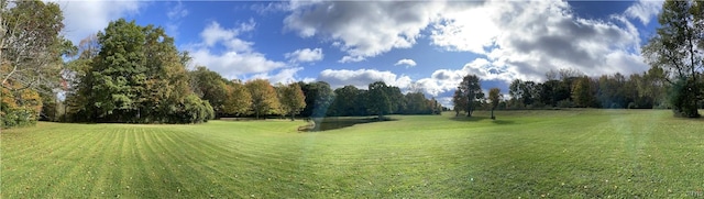 view of grassy yard
