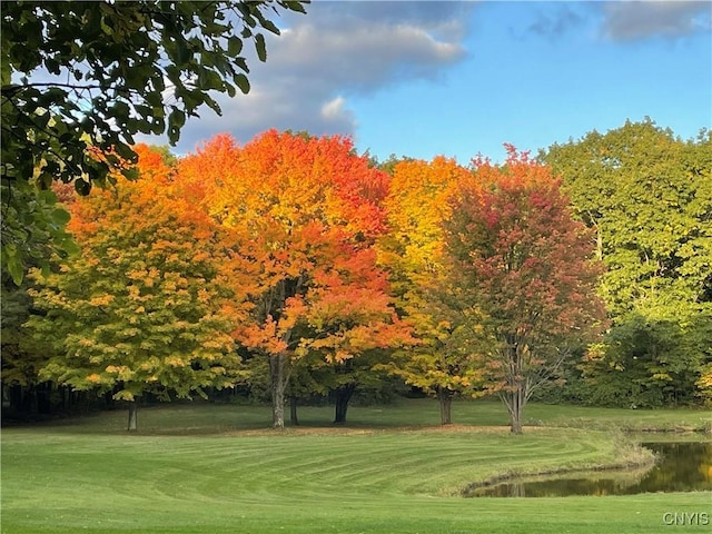 view of home's community with a yard, a water view, and golf course view