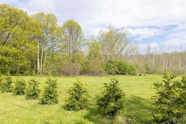 6028 Smith Rd, Hamburg, NY 14075 - photo 30