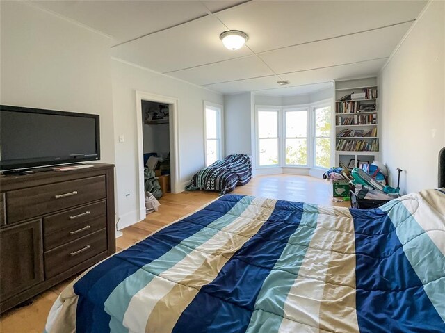 442 Front St, Owego, NY 13827 - bedroom with light wood-style floors