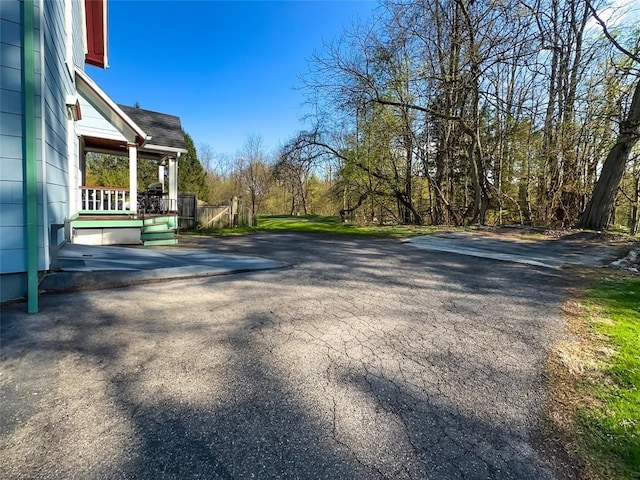 442 Front St, Owego, NY 13827 - view of asphalt driveway
