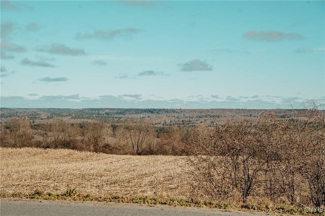 00 E Road, Leyden, NY 13309 - photo 4