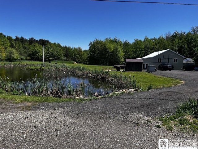 11604 York Rd, Hanover, NY 14136 - water view with a forest