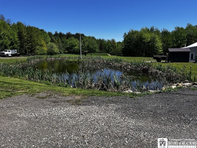 11604 York Rd, Hanover, NY 14136 - water view with a forest