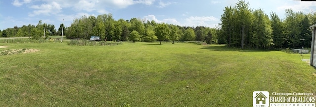 11604 York Rd, Hanover, NY 14136 - view of green lawn