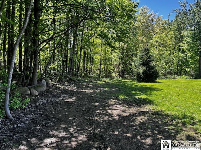 11604 York Rd, Hanover, NY 14136 - view of woods