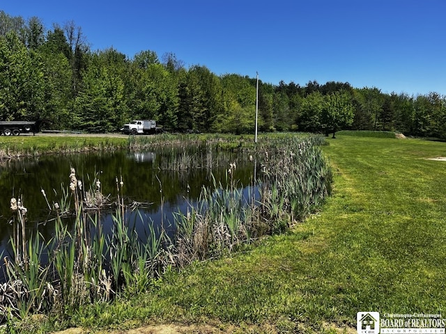 11604 York Rd, Hanover, NY 14136 - water view with a heavily wooded area