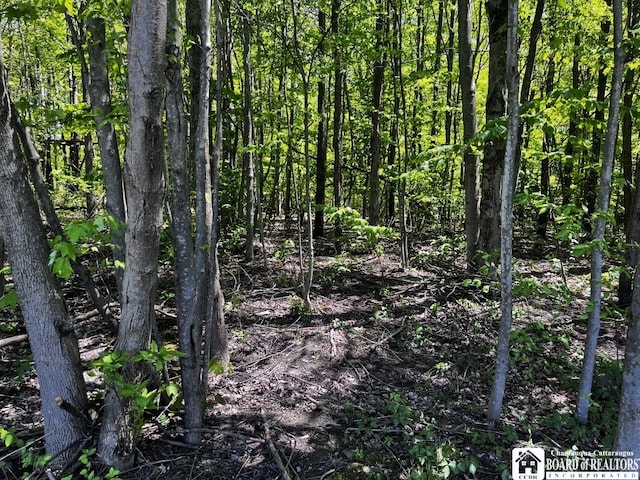 11604 York Rd, Hanover, NY 14136 - view of local wilderness