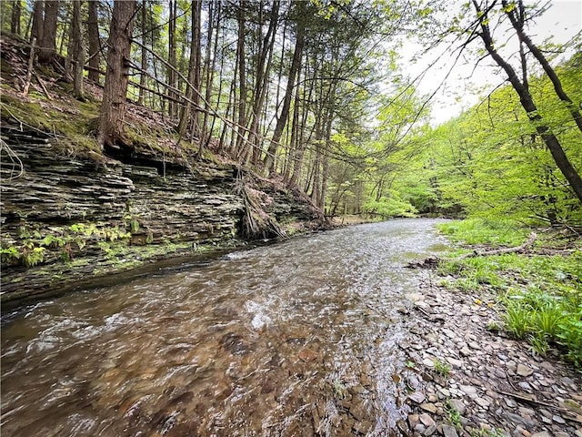 Oak Hill Rd, Catharine, NY 14805