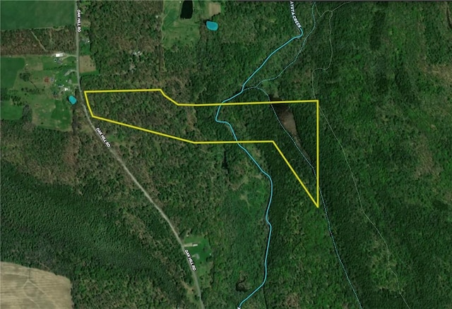 Oak Hill Rd, Catharine, NY 14805