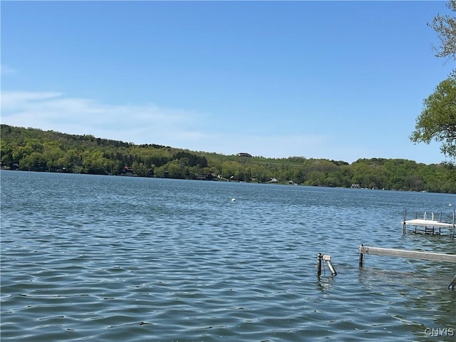 2055 Fitzgerald Pt S, Otisco, NY 13110 - dock with a water view and a wooded view