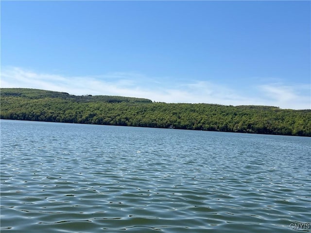 water view featuring a heavily wooded area