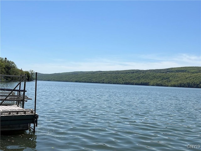 dock area featuring a water view and a view of trees