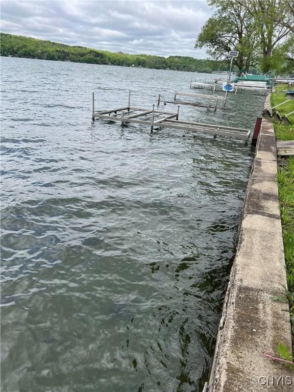 2055 Fitzgerald Pt S, Otisco, NY 13110 - dock featuring a water view