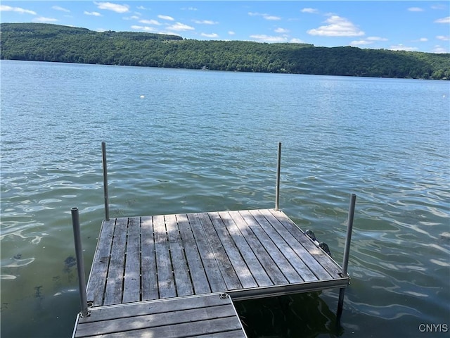 2055 Fitzgerald Pt S, Otisco, NY 13110 - dock with a view of trees and a water view
