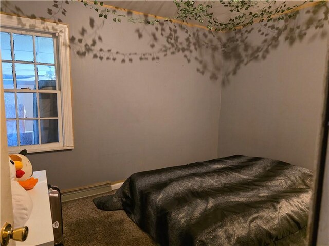206 Pritchard Ave, Corning City, NY 14830 - carpeted bedroom with baseboards and baseboard heating