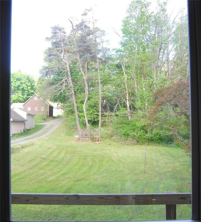 115 Lincoln St, Kane-Borough, PA 16735 - view of green lawn