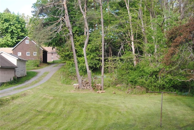 115 Lincoln St, Kane-Borough, PA 16735 - view of green lawn featuring dirt driveway