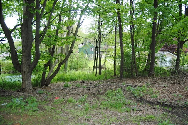 115 Lincoln St, Kane-Borough, PA 16735 - view of local wilderness