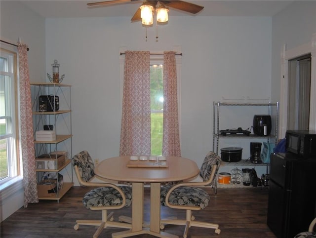 115 Lincoln St, Kane-Borough, PA 16735 - dining area featuring wood finished floors, plenty of natural light, and a ceiling fan