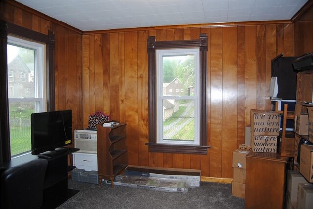 115 Lincoln St, Kane-Borough, PA 16735 - office space with healthy amount of natural light, wood walls, and carpet