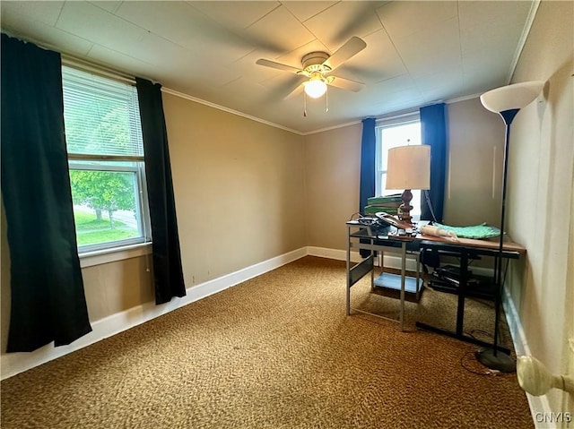436 Mcgowan Rd, Frankfort, NY 13357 - office space with carpet, ornamental molding, ceiling fan, and baseboards