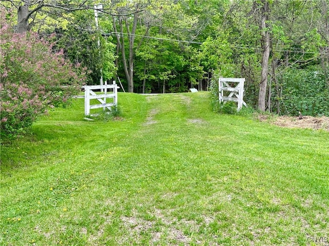 436 Mcgowan Rd, Frankfort, NY 13357 - view of yard