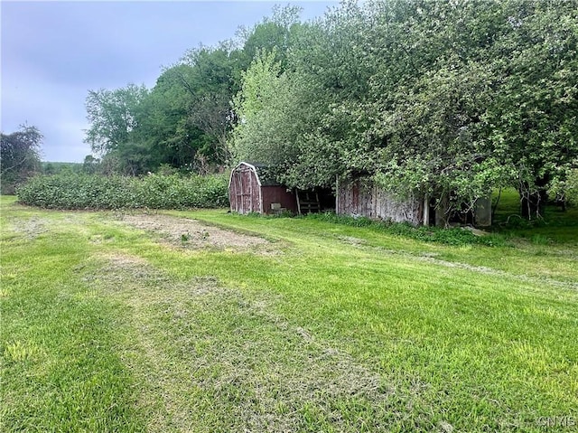 436 Mcgowan Rd, Frankfort, NY 13357 - view of grassy yard featuring an outbuilding and a barn