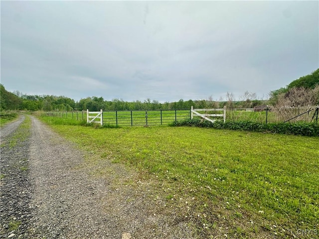 436 Mcgowan Rd, Frankfort, NY 13357 - view of yard with fence and a view of rural / pastoral area