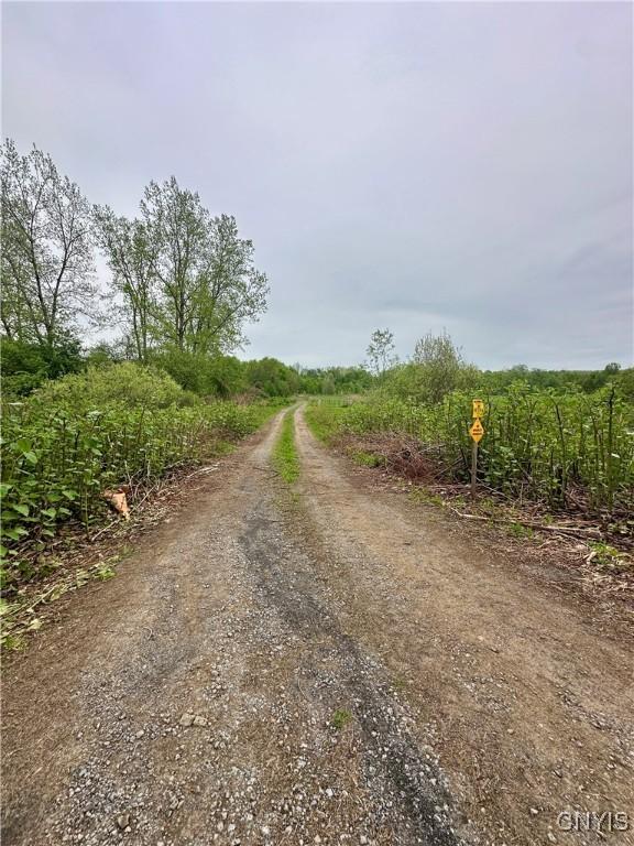 436 Mcgowan Rd, Frankfort, NY 13357 - view of dirt / gravel road
