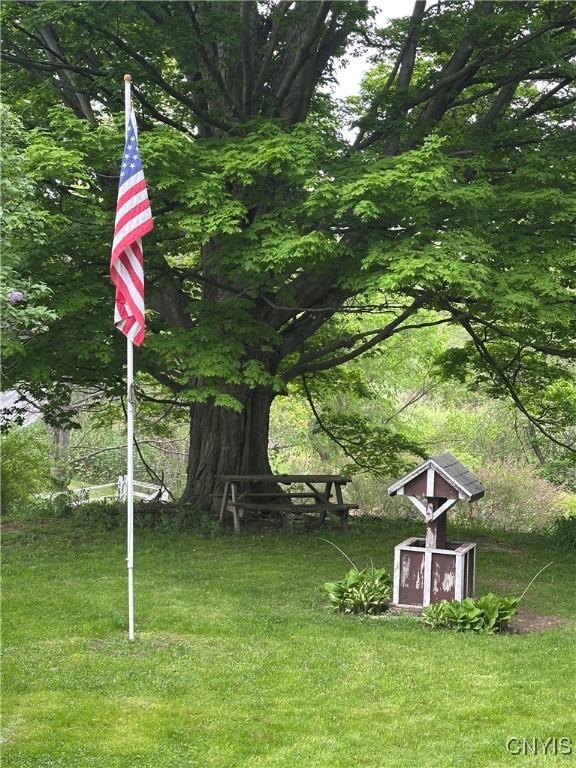 436 Mcgowan Rd, Frankfort, NY 13357 - view of green lawn