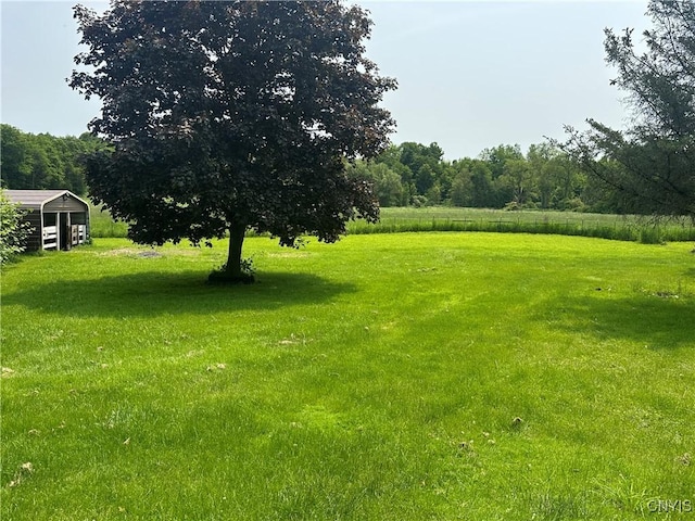 436 Mcgowan Rd, Frankfort, NY 13357 - view of grassy yard featuring a rural view