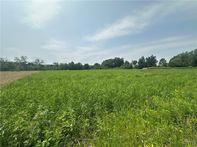 436 Mcgowan Rd, Frankfort, NY 13357 - view of undeveloped land with rural landscape