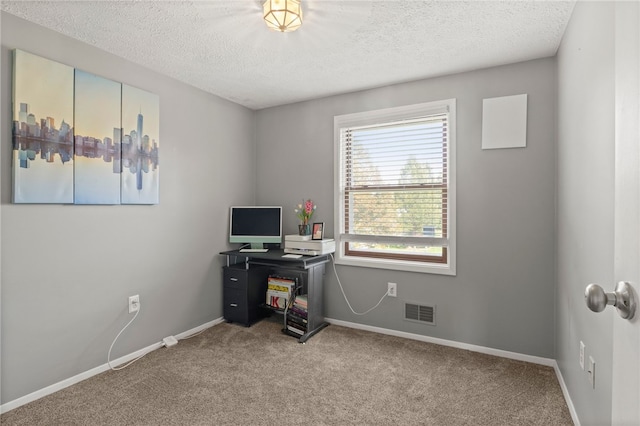 5904 Merrill Rd, Byron, NY 14422 - carpeted home office featuring a textured ceiling and baseboards
