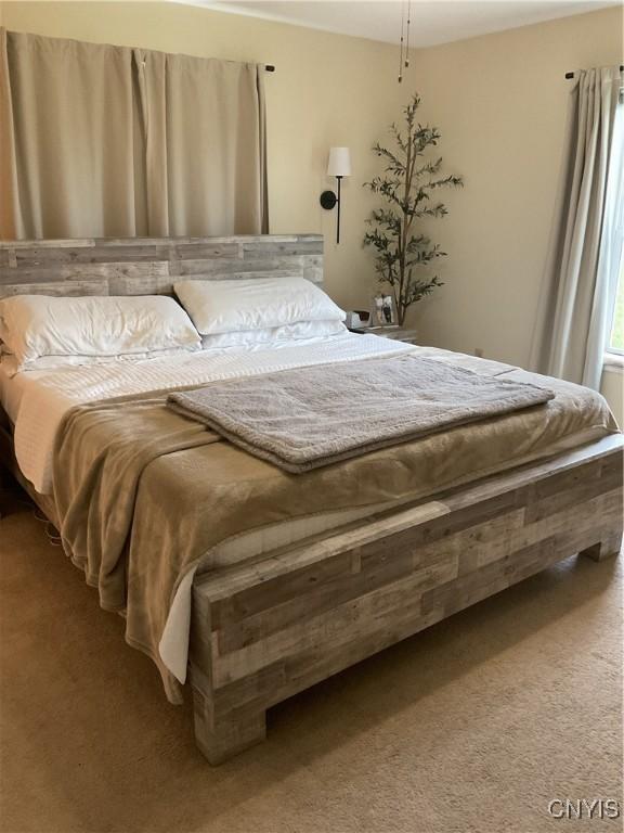 27892 Nys Rte 37, Pamelia, NY 13601 - view of carpeted bedroom