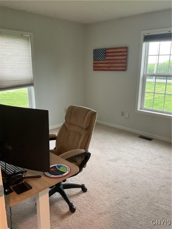 27892 Nys Rte 37, Pamelia, NY 13601 - office area with baseboards and carpet floors
