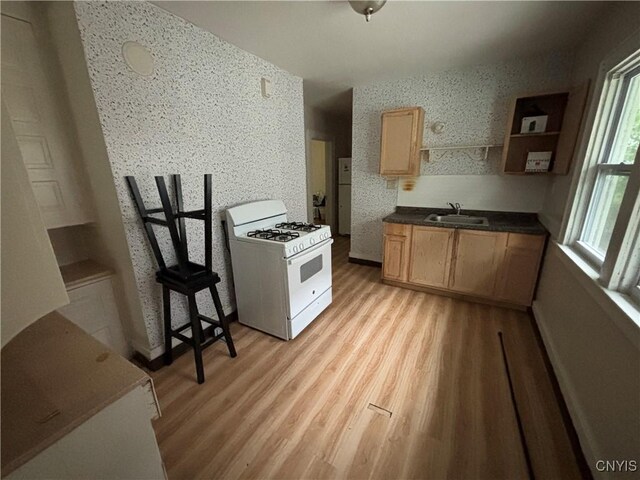 513 Tennyson Ave Unit 15, Syracuse, NY 13204 - kitchen with white appliances, a sink, light wood-style flooring, and open shelves