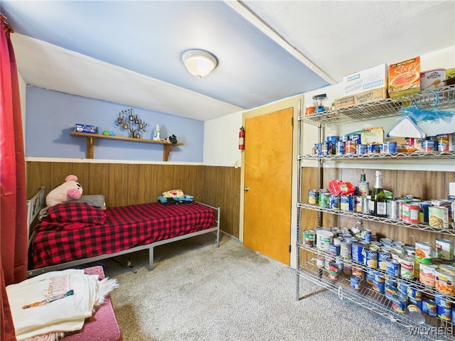 1847 Tuscarora Rd, Niagara, NY 14304 - bedroom featuring carpet flooring, wainscoting, and wood walls