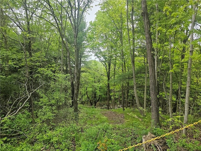 2049 State Route 245, Italy, NY 14512