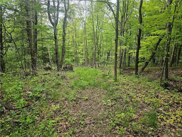 2049 State Route 245, Italy, NY 14512