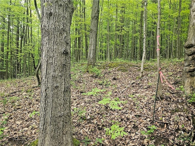 2049 State Route 245, Italy, NY 14512